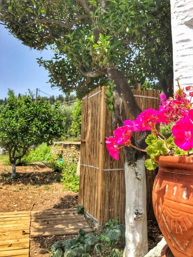 The Walnut Tree - Cycladic Getaway With Sea Views By Explore Andros Lámira 외부 사진